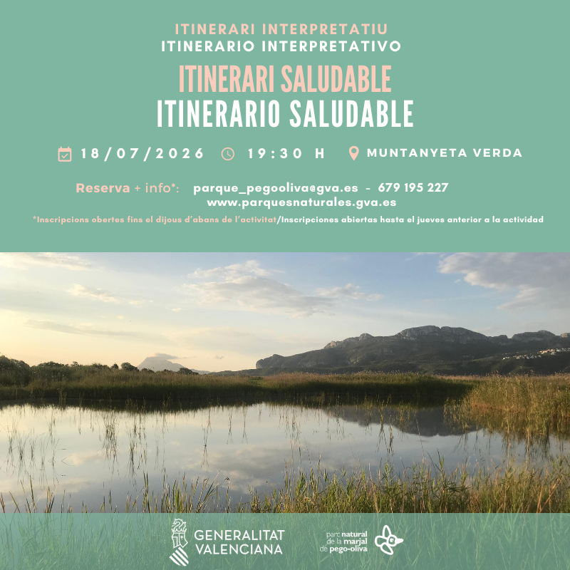 Itinerario Saludable por el Marjal de Pego