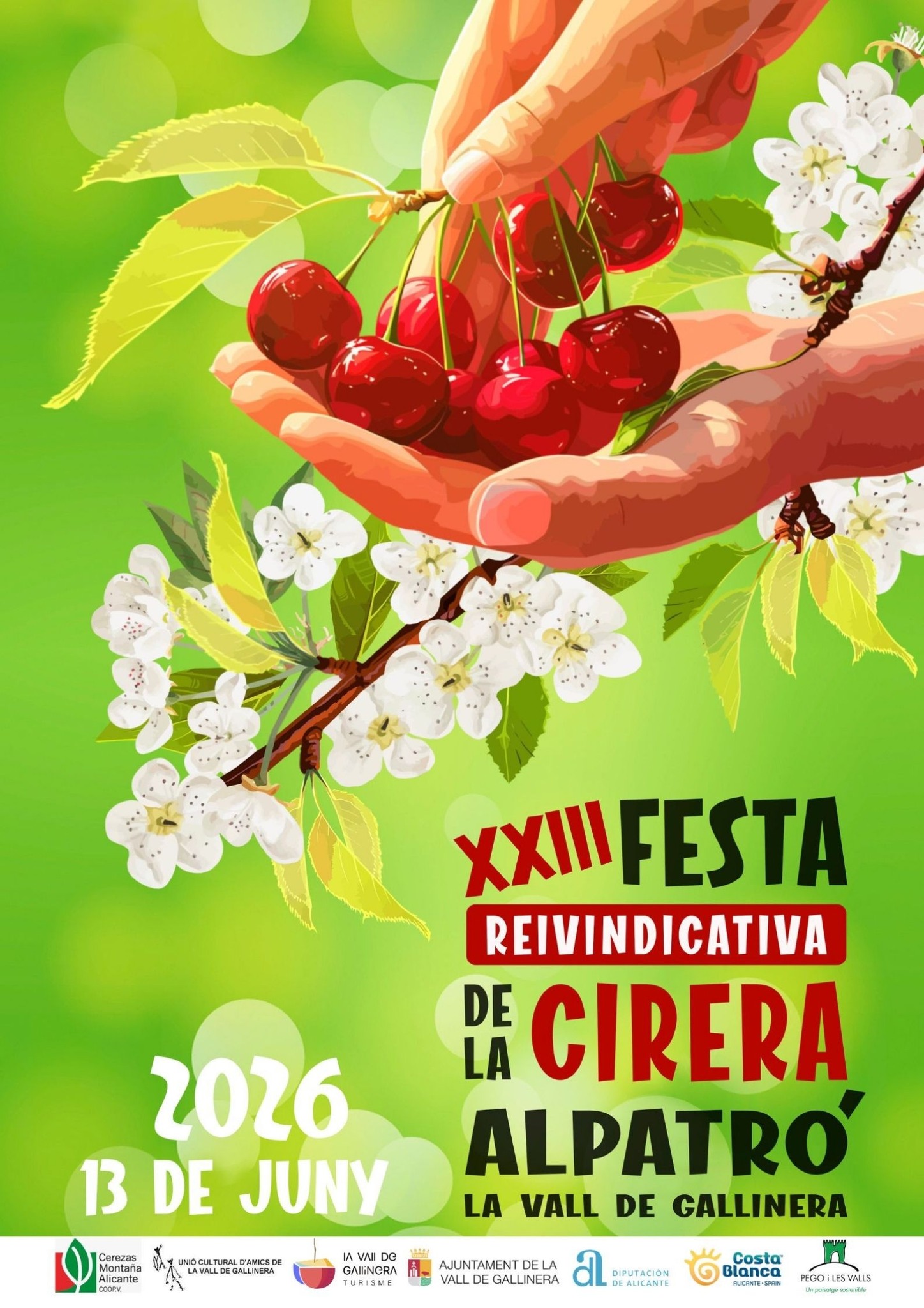 XXIII Fiesta de la Cereza