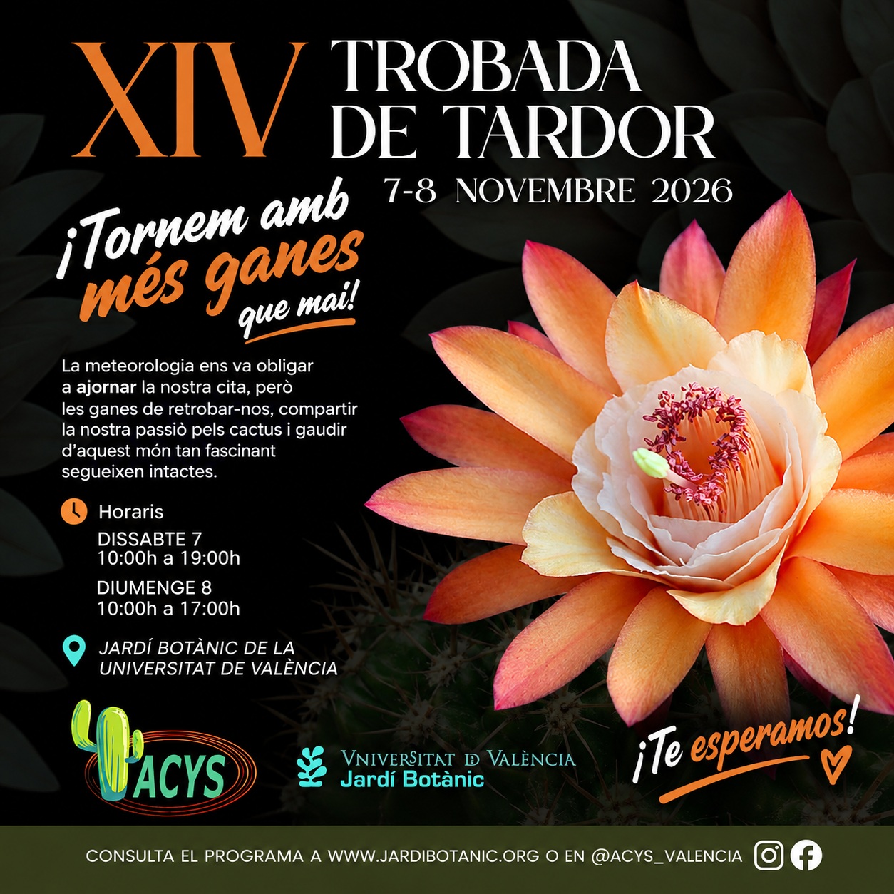 XIV Trobada de Tardor
