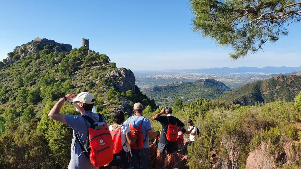 Visita Guiada "Beniccàssim y Biodiversidad, ¡Inseparables!"