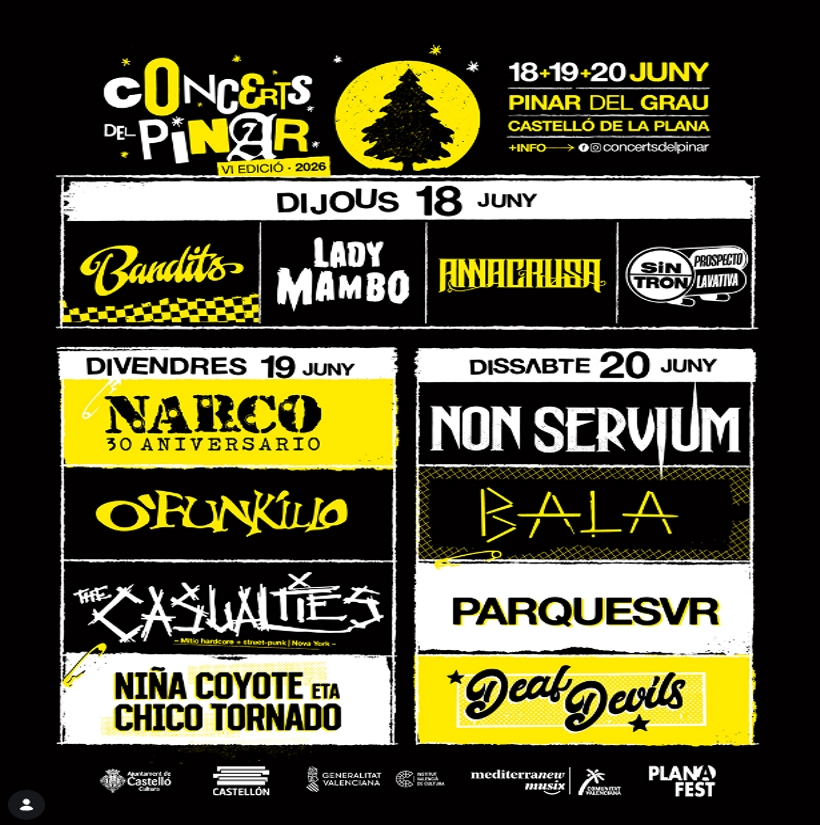 VI EDICIÓ  CONCERTS DEL PINAR