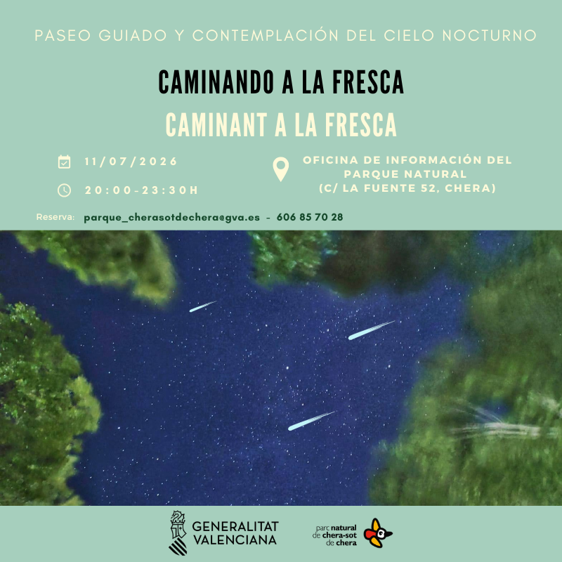 Paseo Guiado y Contemplación del Cielo Nocturno "Caminando a la fresca"