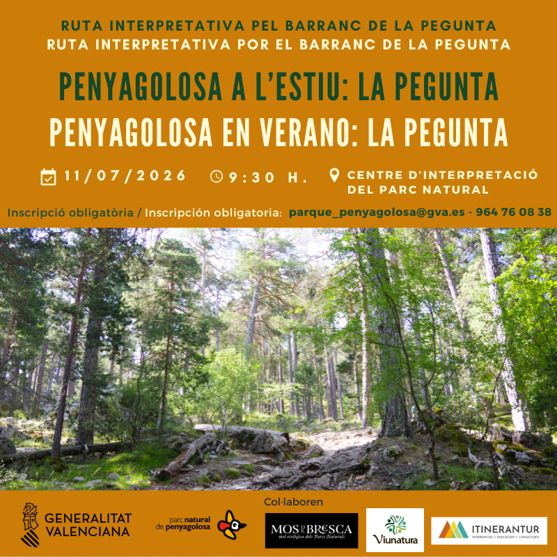 Ruta Interpretativa por el Barranco de La Pegunta