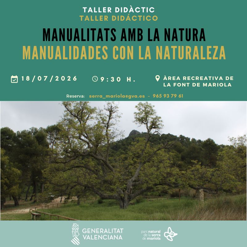 Taller "Manualidades en la naturaleza"