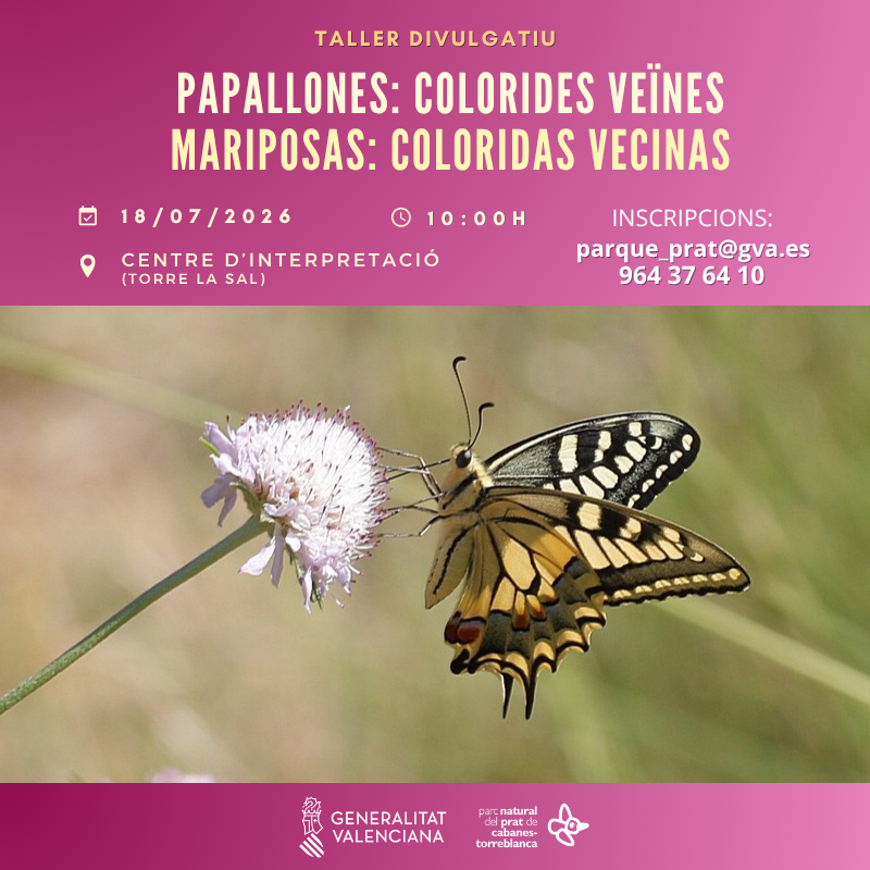Taller "Mariposas: coloridas vecinas"