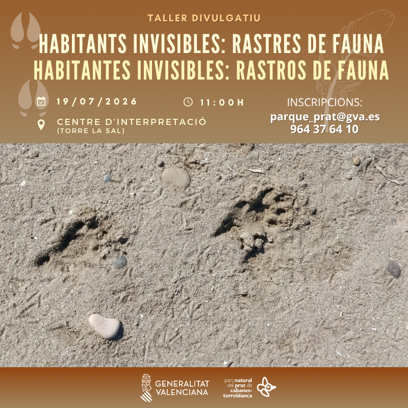 Taller "Habitantes invisibles: rastros de fauna"