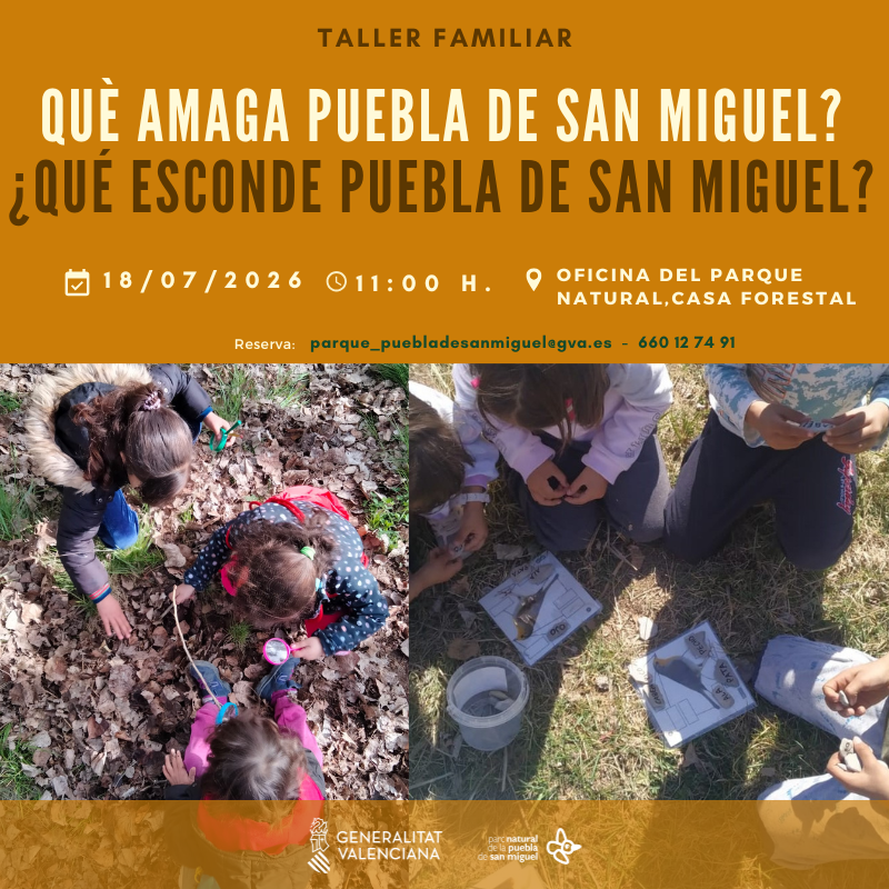 Taller Familiar "¿Qué esconde Puebla de San Miguel?"