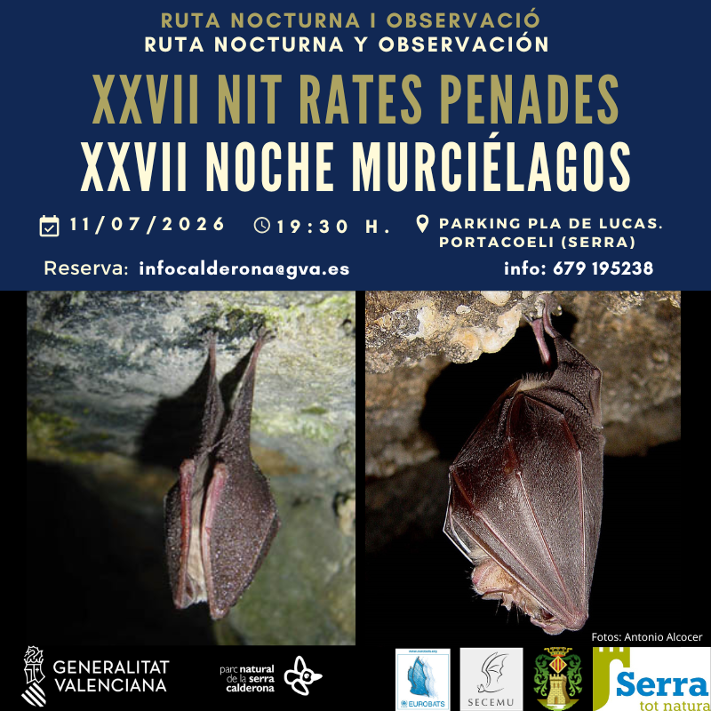 Ruta Nocturna y Observación "Noche Murciélagos"