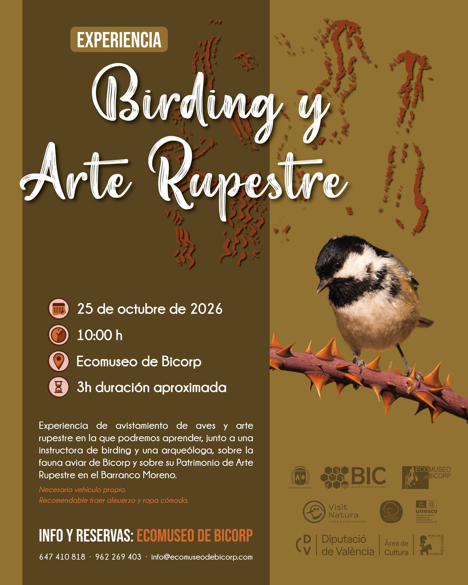Birding y Arte Rupestre