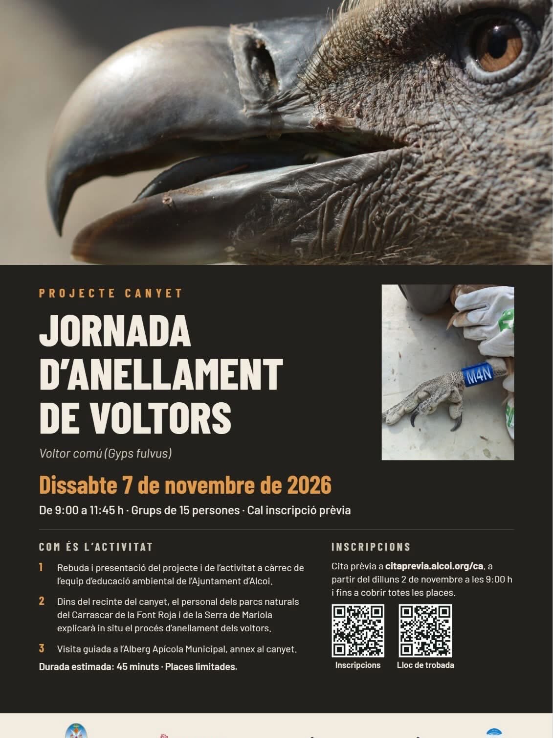 Jornada d’Anellament de Voltors