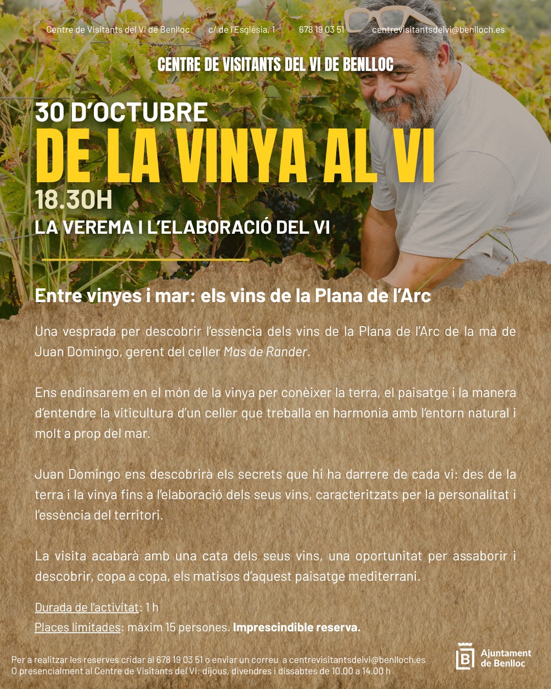 De la vinya al vi