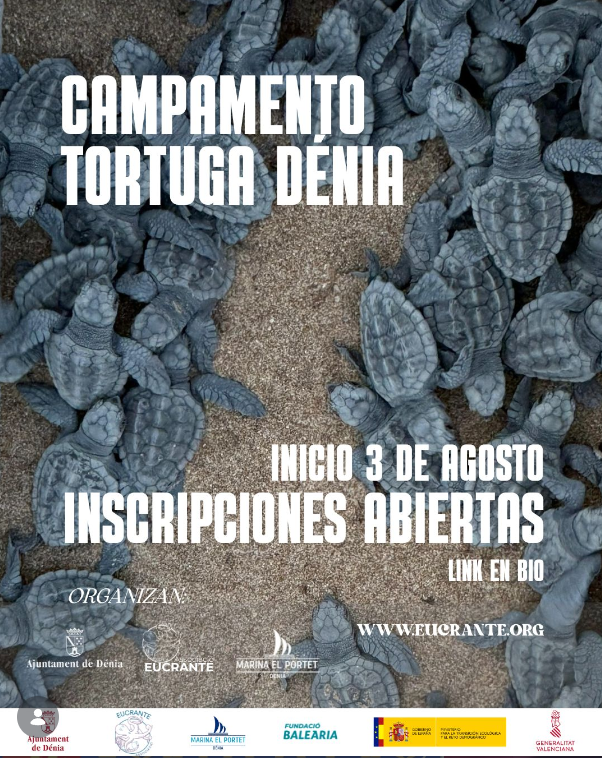 CAMPAMENTO TORTUGA DENIA