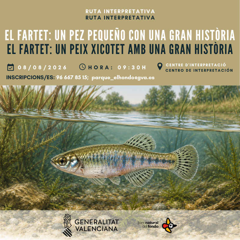 Ruta interpretativa "El fartet: Un pez pequeño con una gran historia"