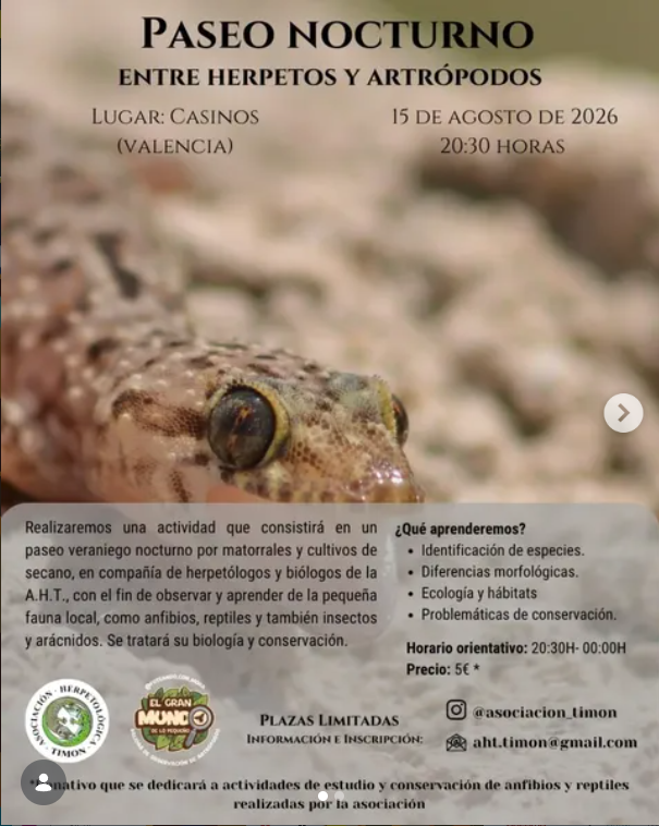 PASEO NOCTURNO - ENTRE HERPETOS Y ARTROPODOS