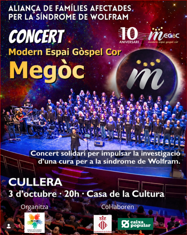 CONCERT SOLIDARI DE GOSPEL