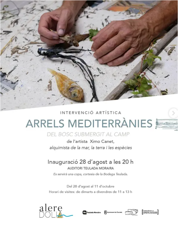 EXPO XIMO CANET - ARRELS MEDITERRANIES