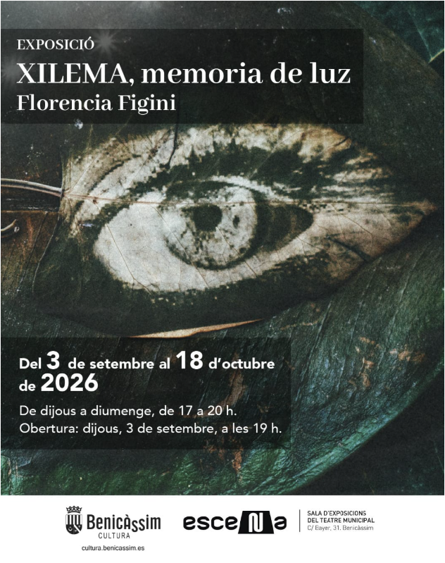 EXPO  XILEMA , memoria de luz - Artista : FLORENCIA FIGINI