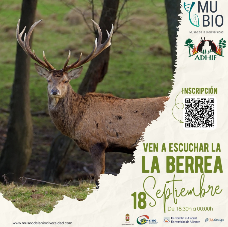 VEN A ESCUCHAR LA BERREA
