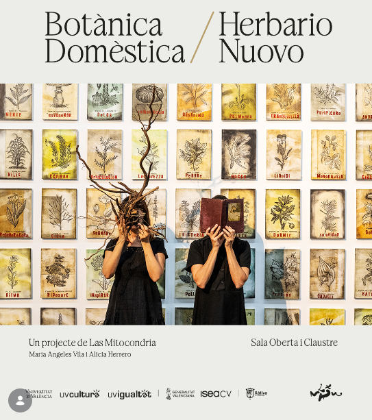 BOTANICA DOMESTICA / HERBARIO NUOVO