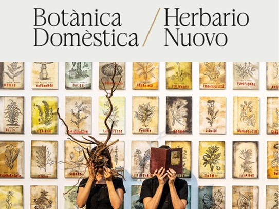 BOTANICA DOMESTICA / HERBARIO NUOVO