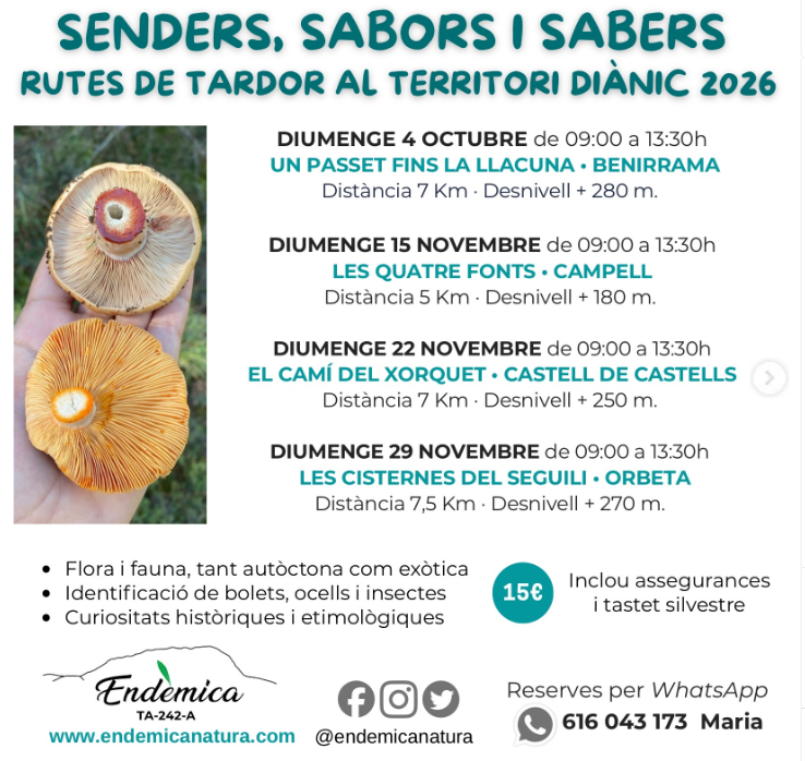 SENDERS, SABORS I SABERS - RUTES DE TARDOR