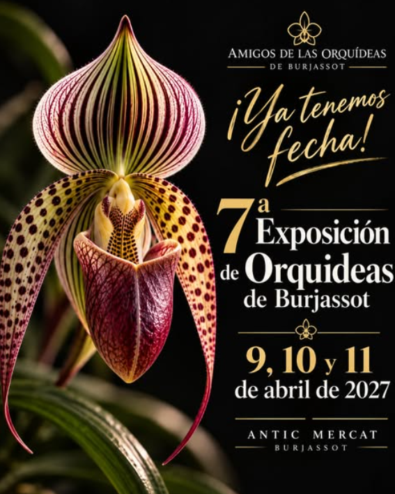 7ª EXPO DE ORQUIDEAS DE BURJASSOT
