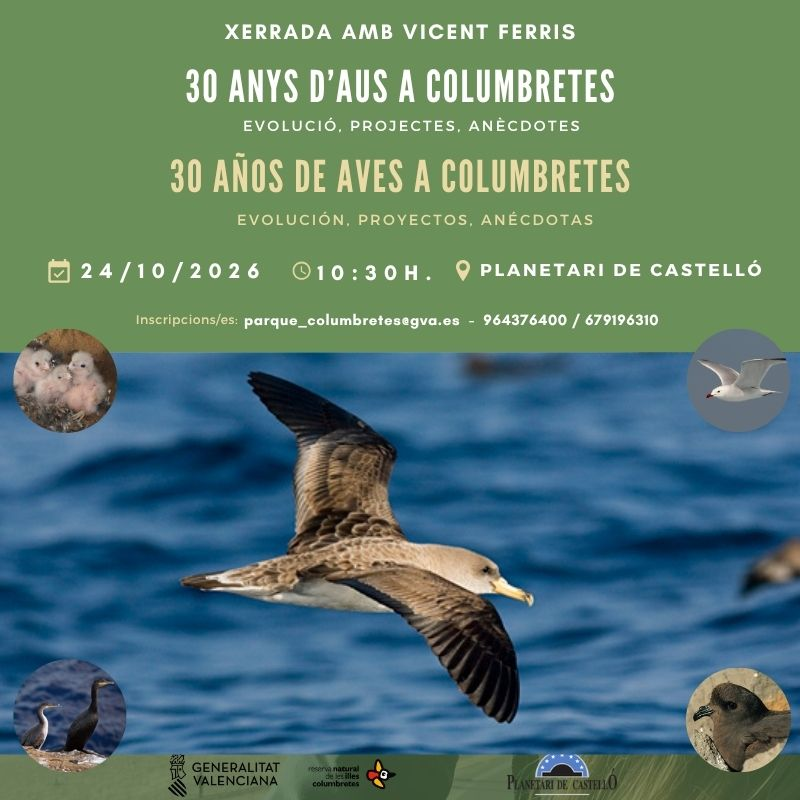 30 años de aves en Columbretes: una charla con Vicent Ferris