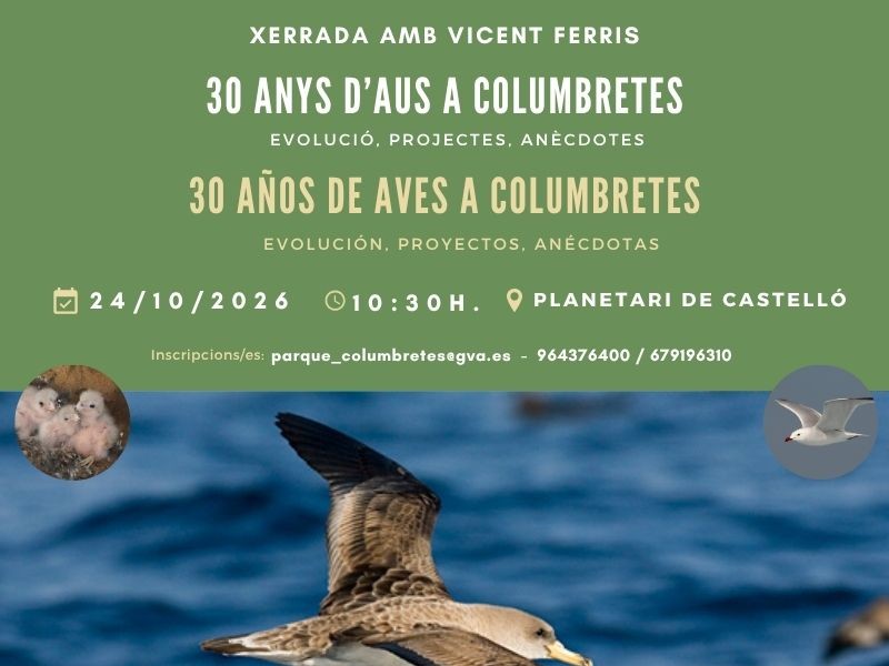 30 años de aves en Columbretes: una charla con Vicent Ferris
