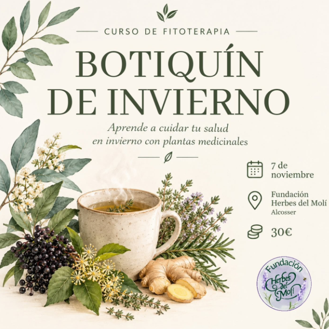Botiquín de Invierno: Fitoterapia para el frío