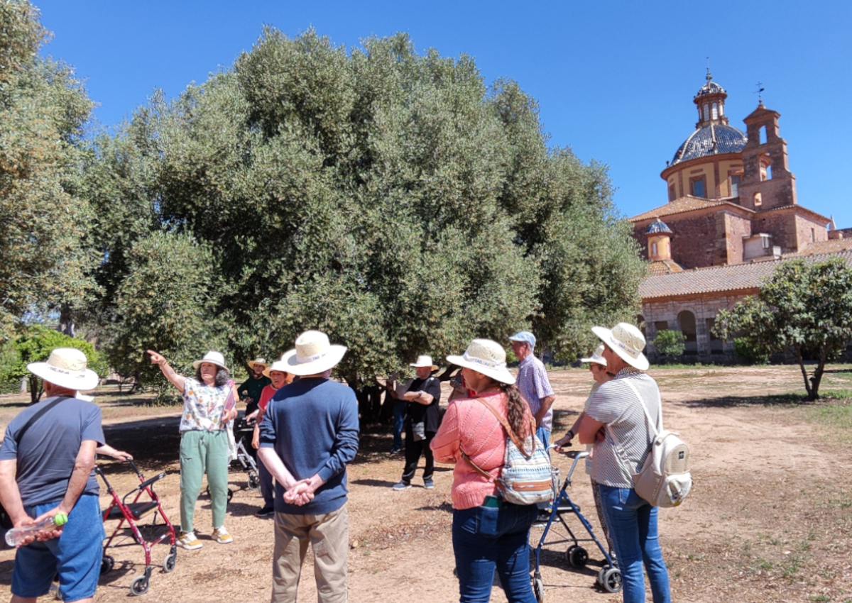 Visita a la Cartuja de Ara Christi en El Puig