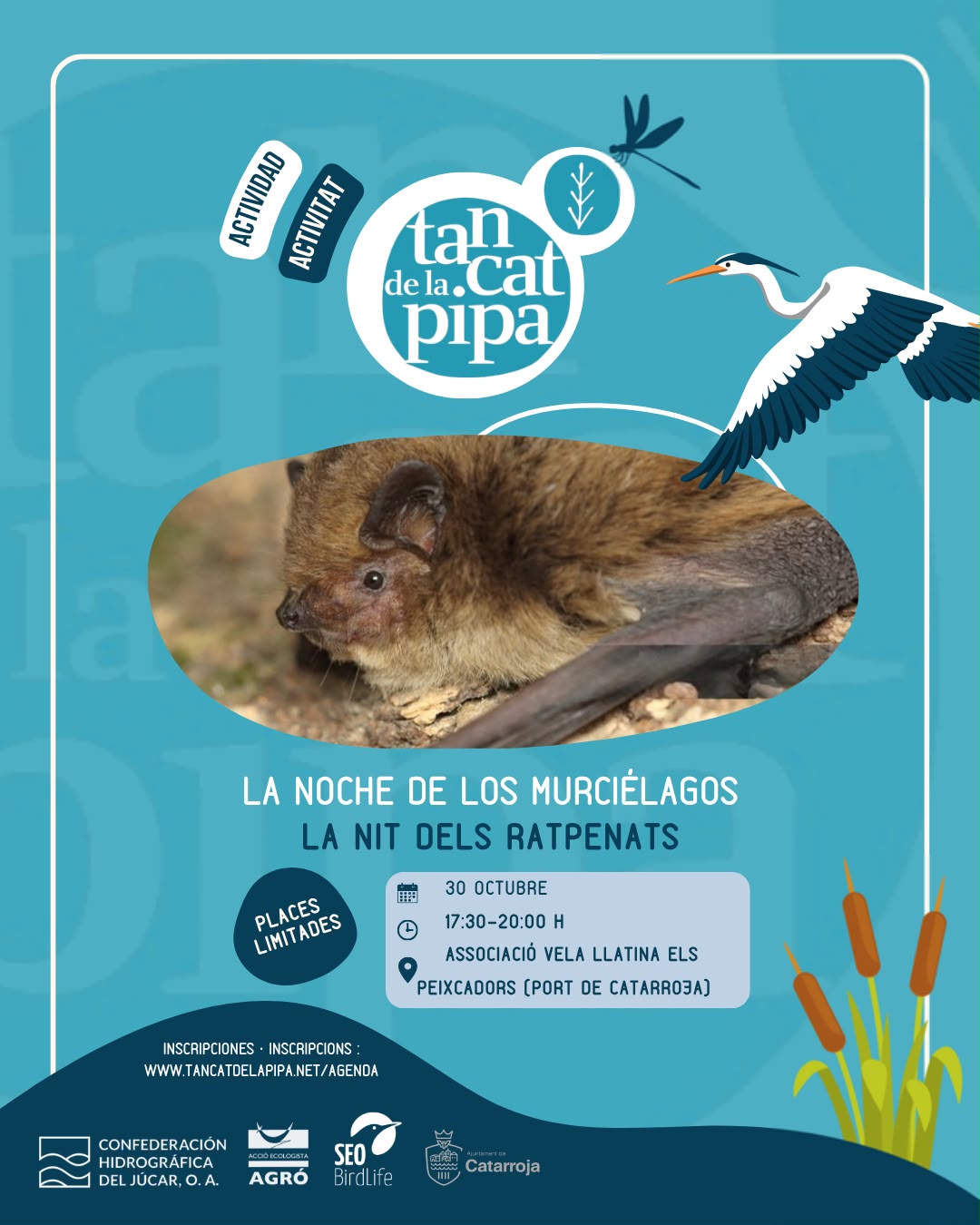 Nit de les Rates Penades