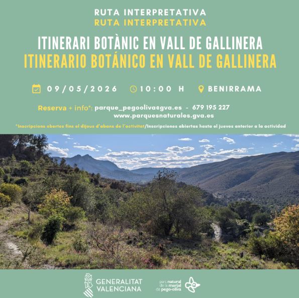 Itinerario Botánico "Vall de la Gallinera"