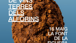 13ª MOSTRA DE VINS TERRES DELS ALFORINS - CATA DE VINOS