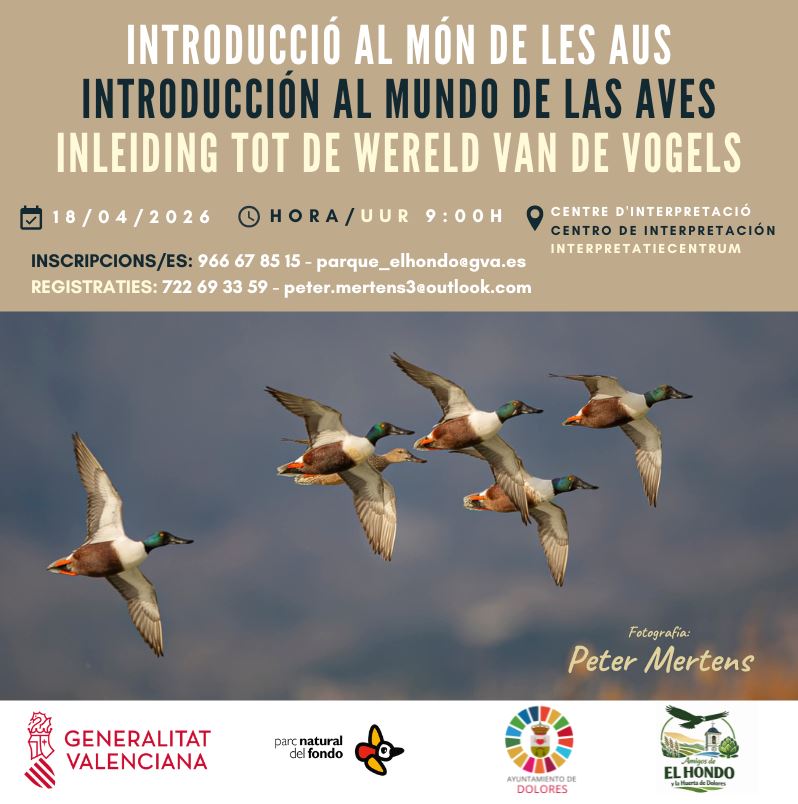 INTRODUCCIÓN AL MUNDO DE LAS AVES