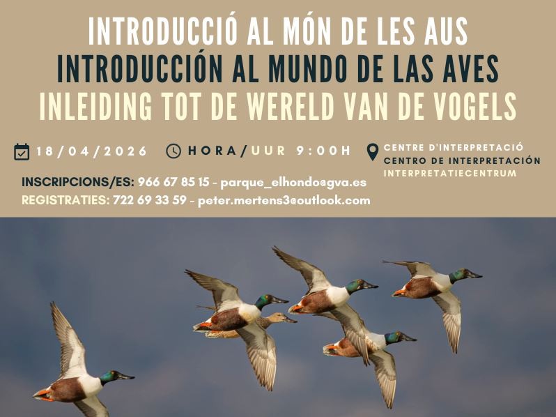 INTRODUCCIÓN AL MUNDO DE LAS AVES