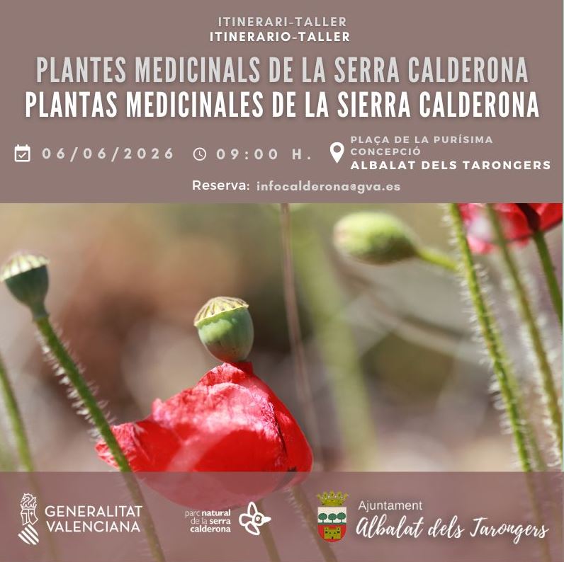 Taller "Plantas medicinales de la Serra Calderona"