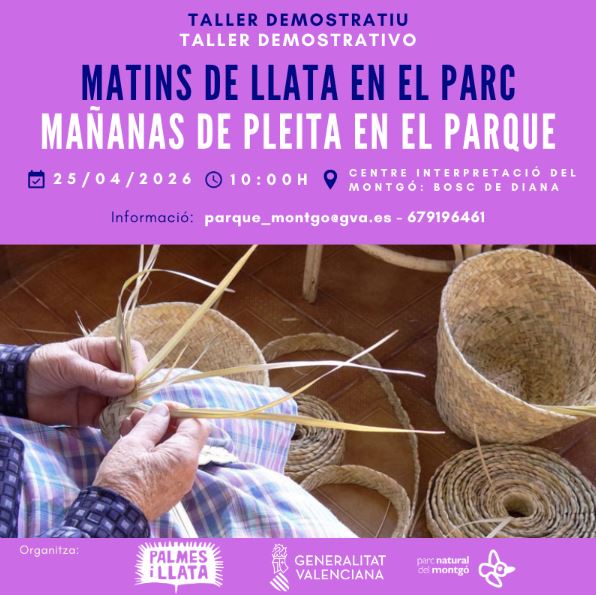 Taller "Mañanas de pleita en el parque"